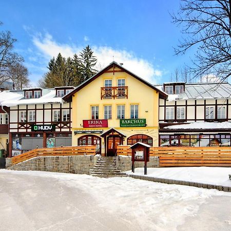 Hotel Erika Špindlerŭv Mlýn Dış mekan fotoğraf