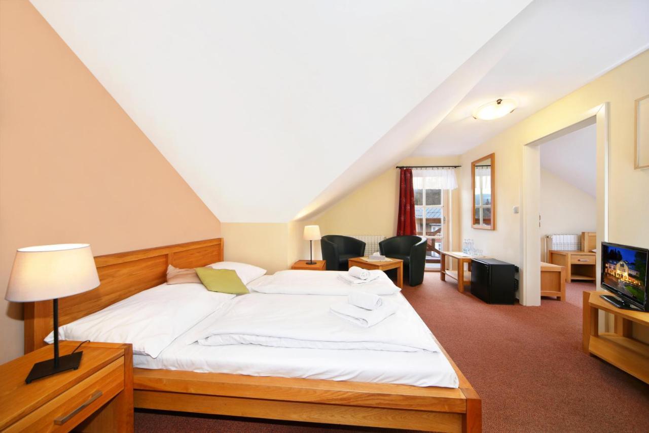 Hotel Erika Špindlerŭv Mlýn Dış mekan fotoğraf