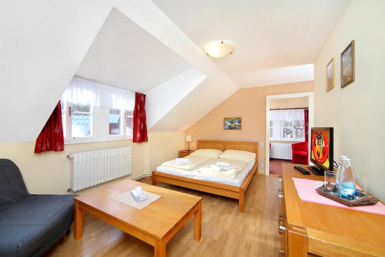 Hotel Erika Špindlerŭv Mlýn Dış mekan fotoğraf