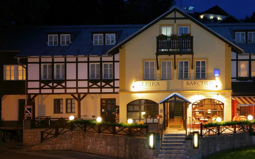 Hotel Erika Špindlerŭv Mlýn Dış mekan fotoğraf