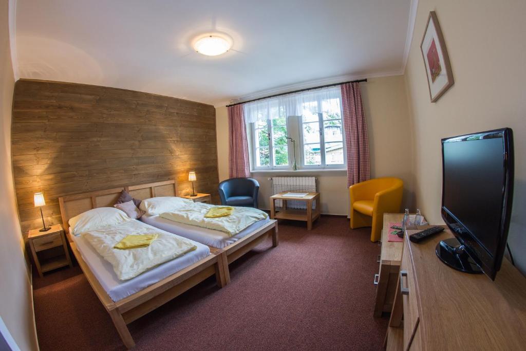 Hotel Erika Špindlerŭv Mlýn Oda fotoğraf